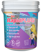 RapidPLUG